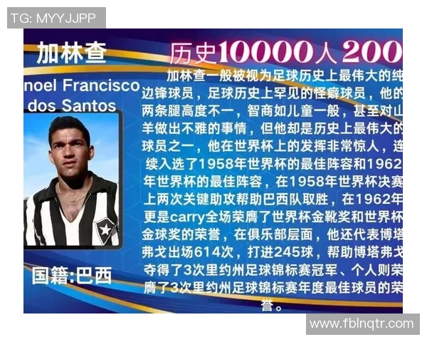 欧洲足球巨星的传奇之路与辉煌成就全解析