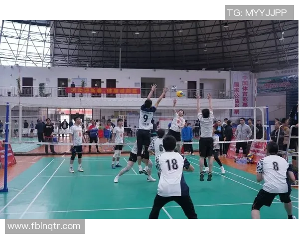 赵伟独家分享排球心得与技巧助你提升竞技水平与团队协作能力 赵伟独家分享排球心得与技巧助你提升竞技水平与团队协作能力